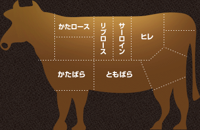 牛の部位紹介